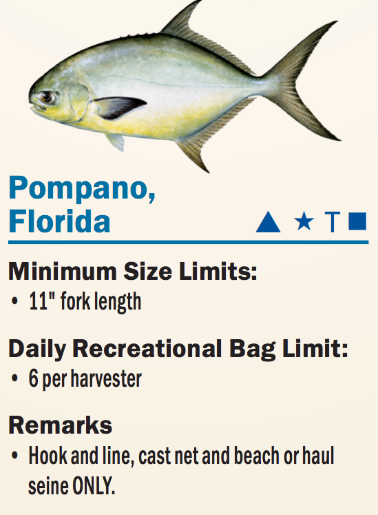 Florida Pompano