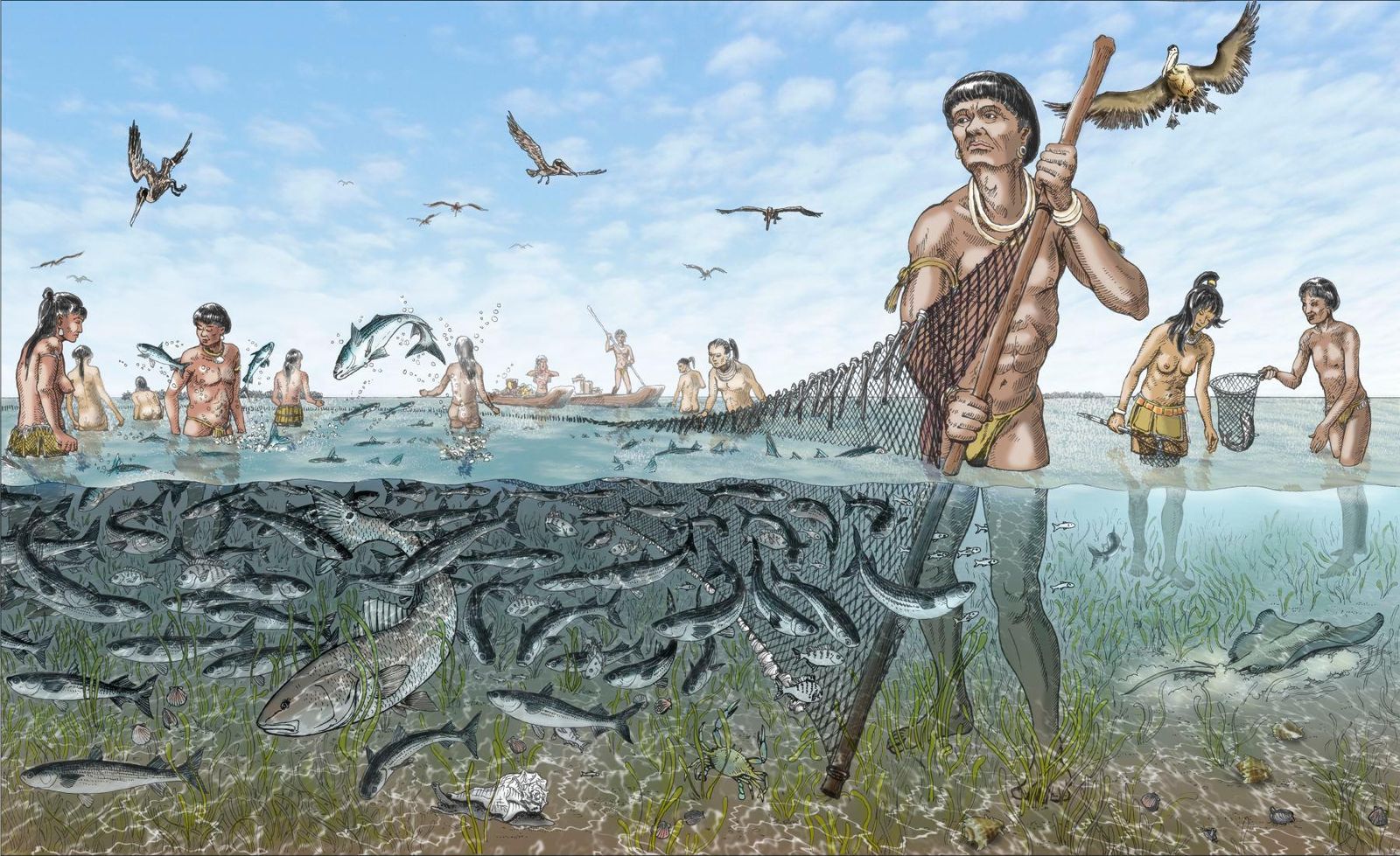 Calusa people fishing the Gulf waters of Florida — a civilization built on the sea