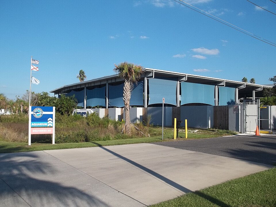 Mote Marine Laboratory & Aquarium