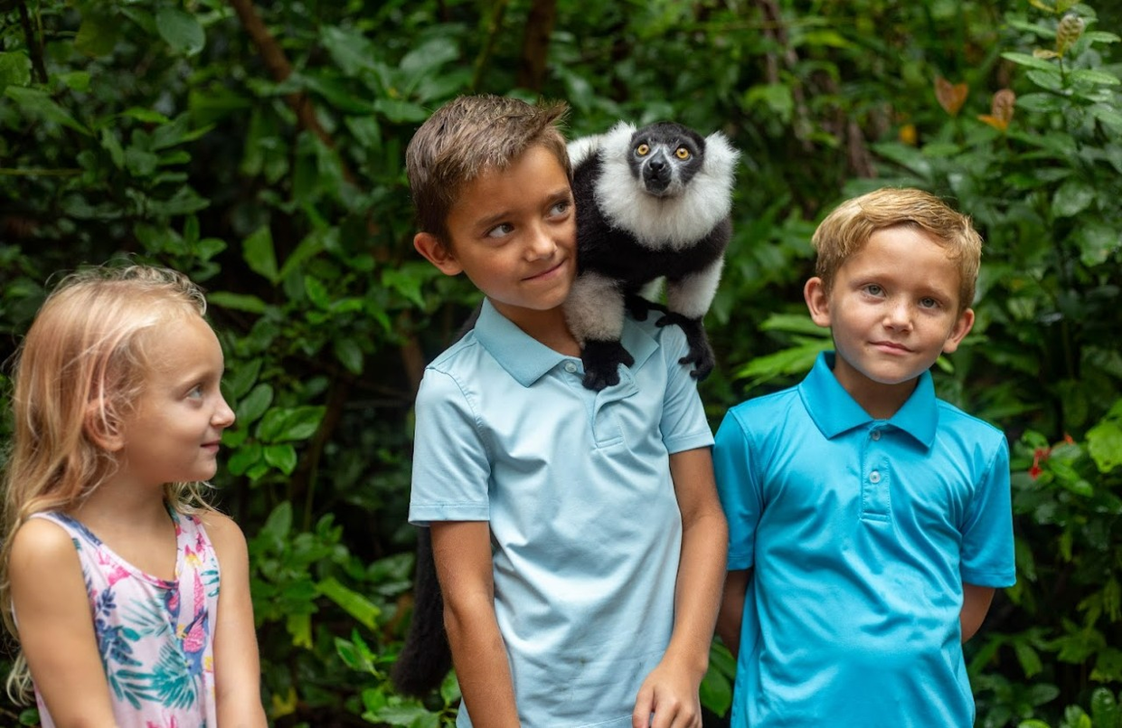 Sarasota Jungle Gardens
