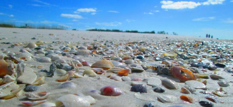 Egmont Key State Park